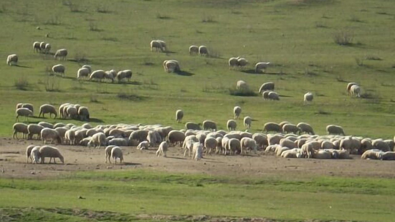 Photo of Others in Siete Iglesias de Trabancos