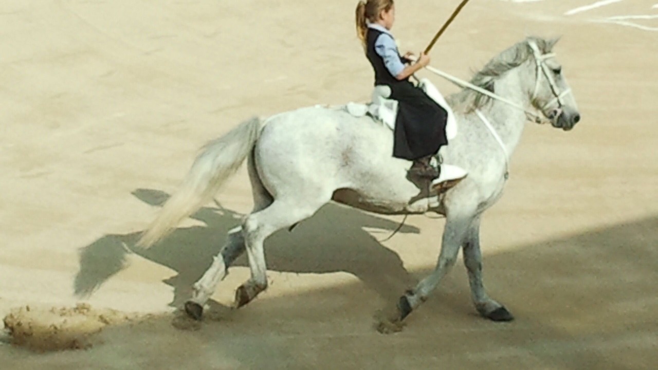 Photo of Others in Brissac