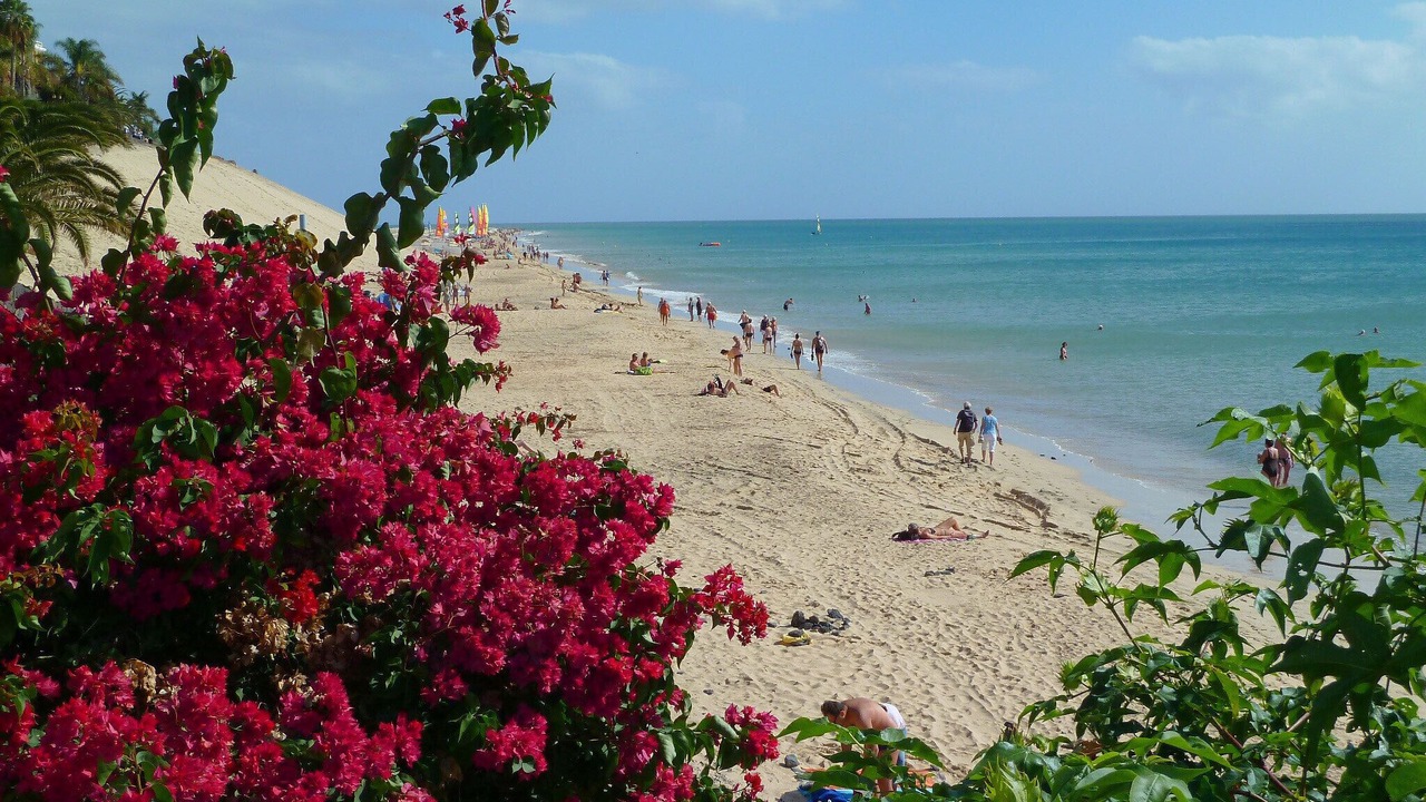 Photo of Others in Solana del Matorral