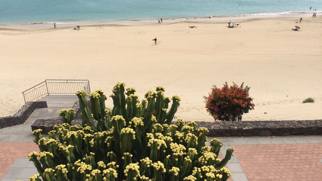 Photo of Others in Solana del Matorral