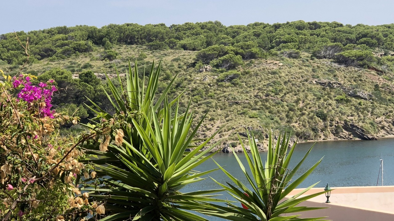 Photo of Outdoor in Puerto Luz