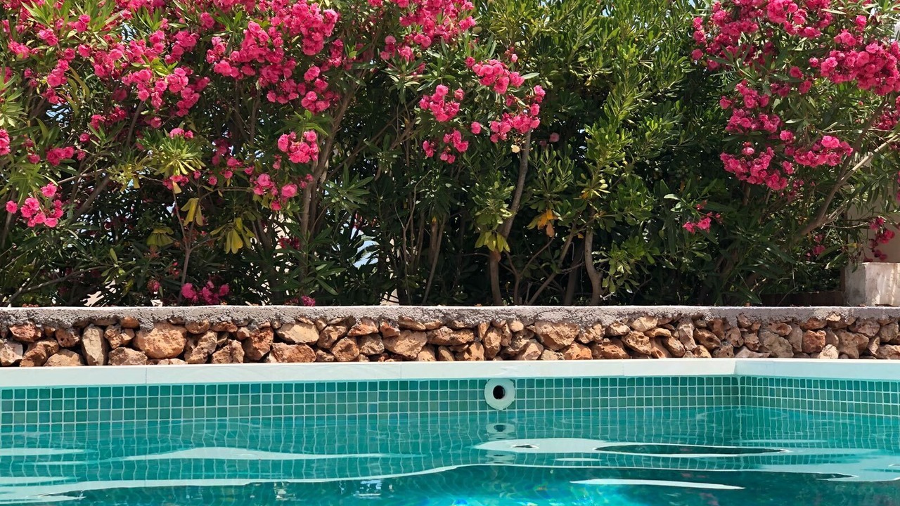 Photo of Outdoor in Puerto Luz