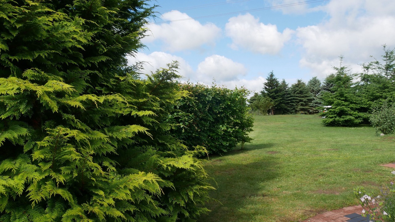 Photo of Outdoor in Bannemin