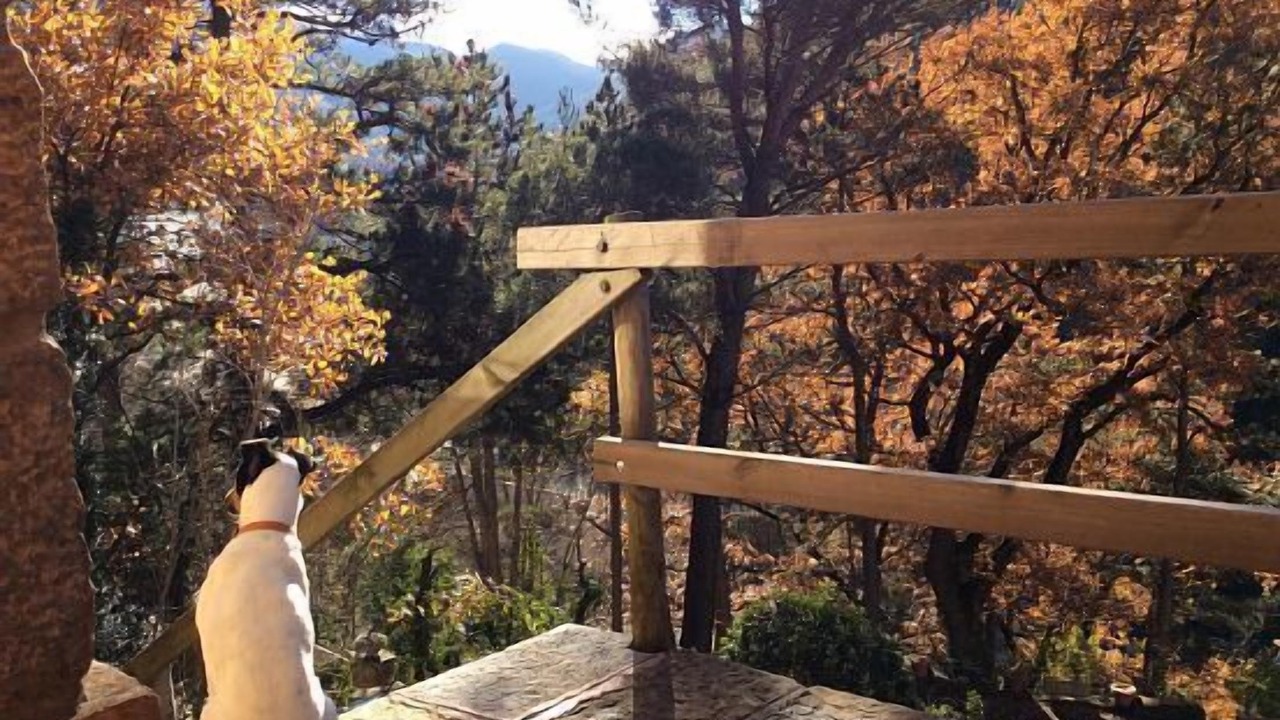Photo of Outdoor in Ribes De Freser