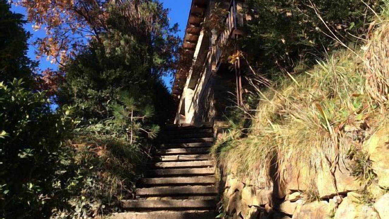 Photo of Outdoor in Ribes De Freser
