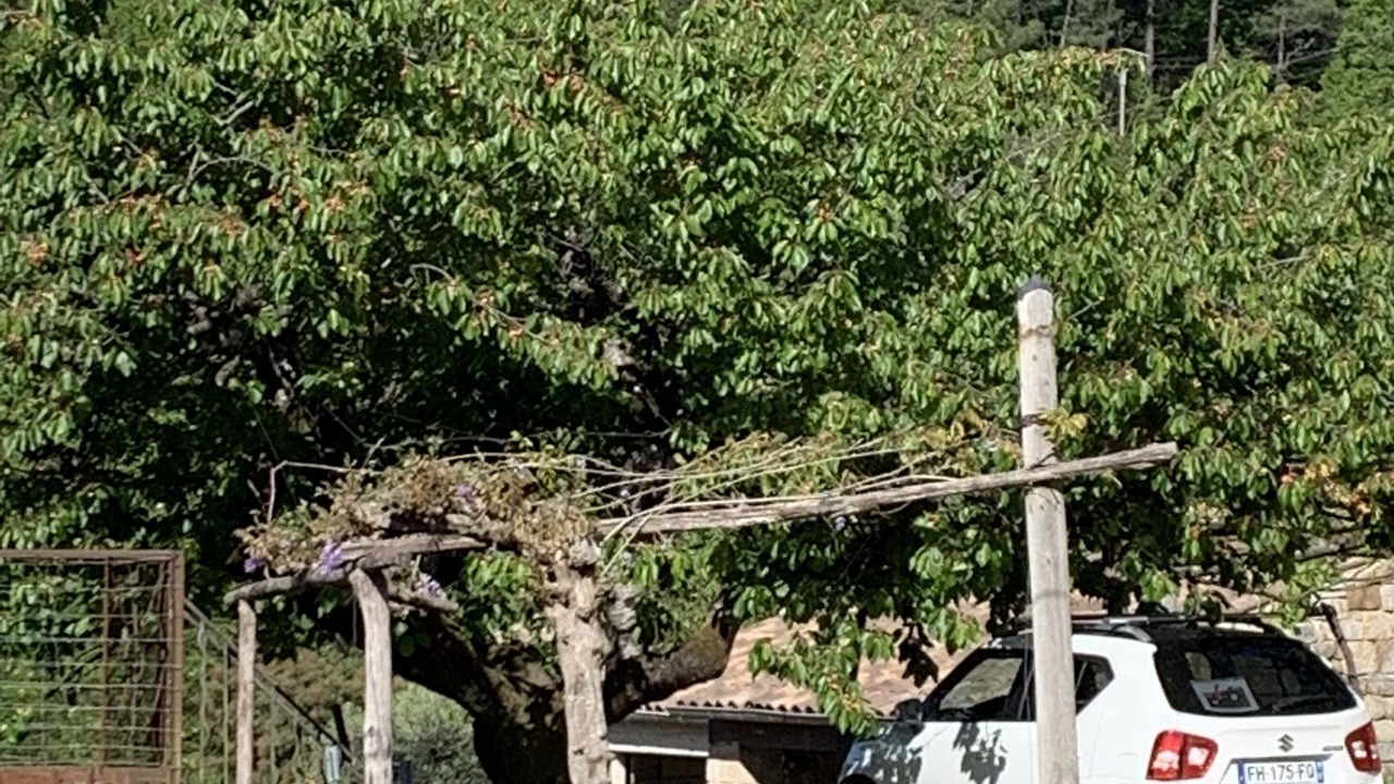 Photo of Outdoor in Ribes
