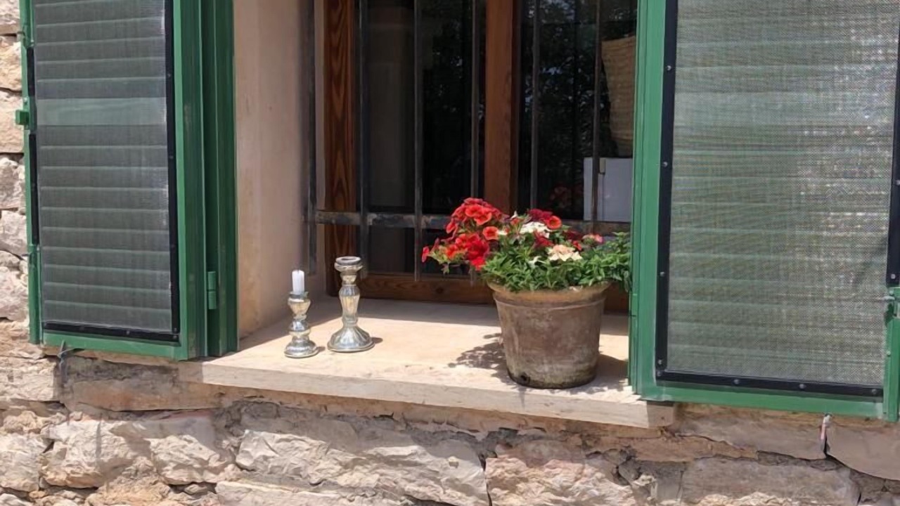 Photo of Outdoor in Felanitx