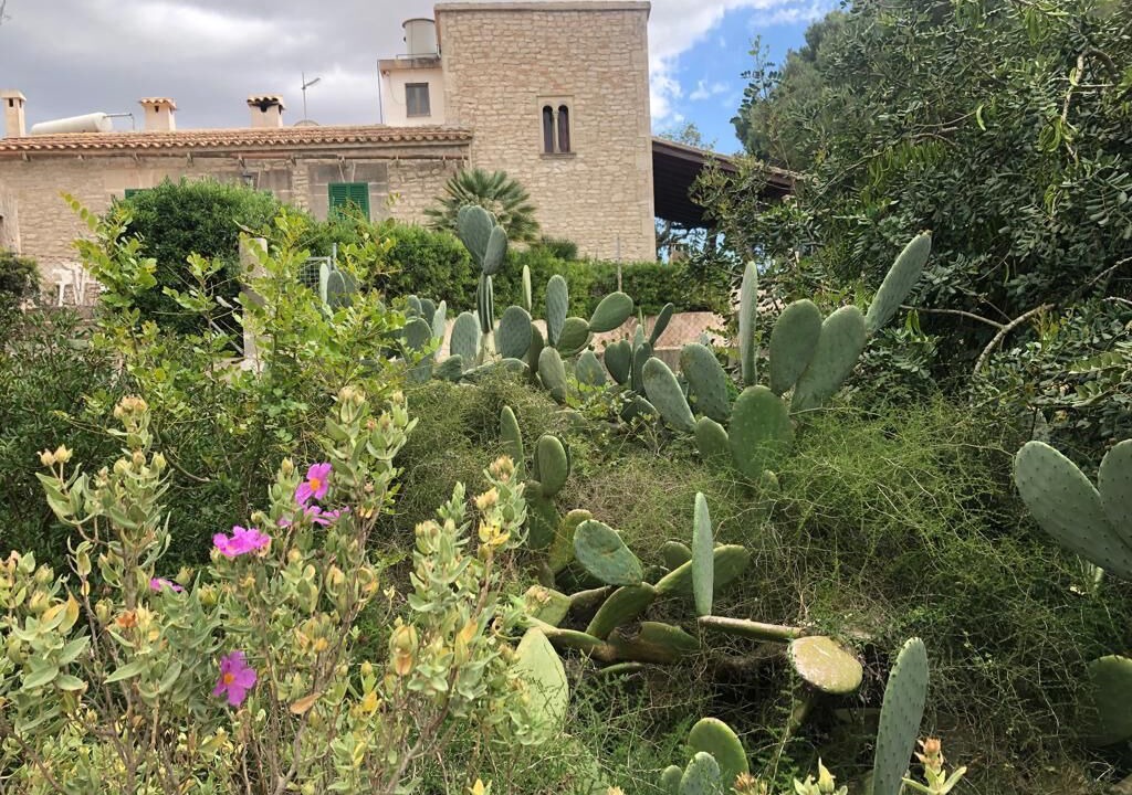 Photo of Outdoor in Felanitx
