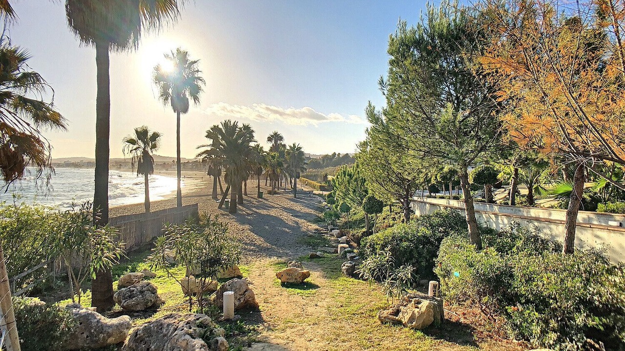 Photo of Others in Casares