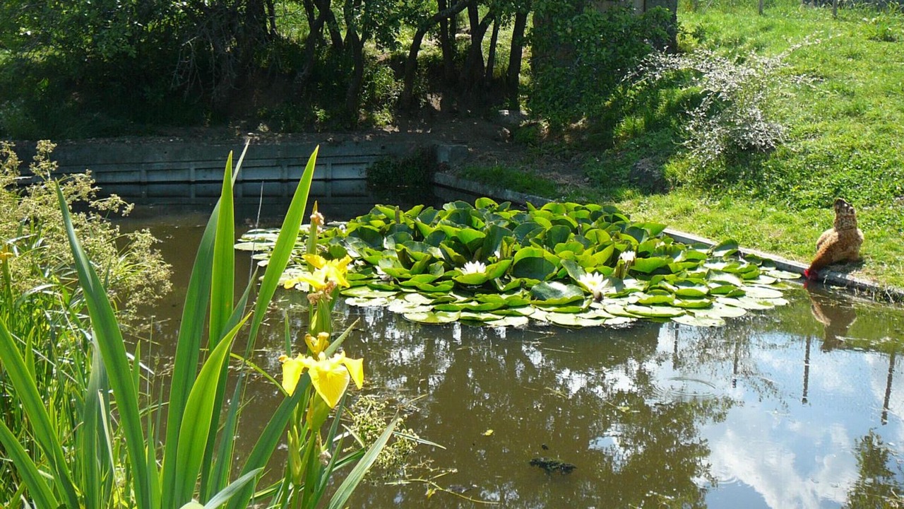 Photo of Outdoor in Pralong
