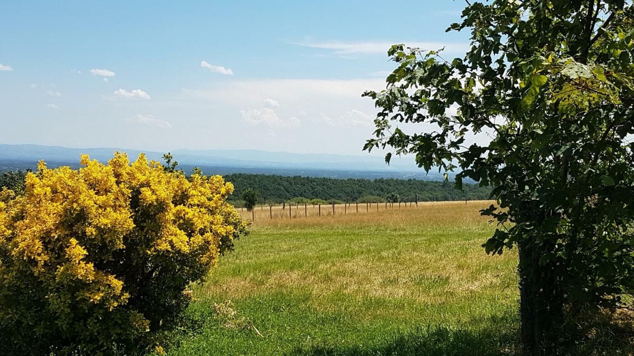Photo of Outdoor in Pralong