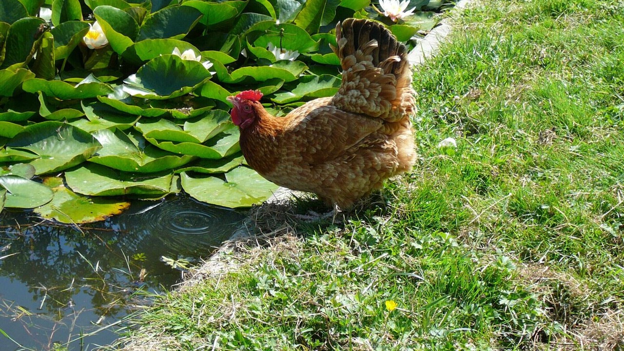 Photo of Outdoor in Pralong