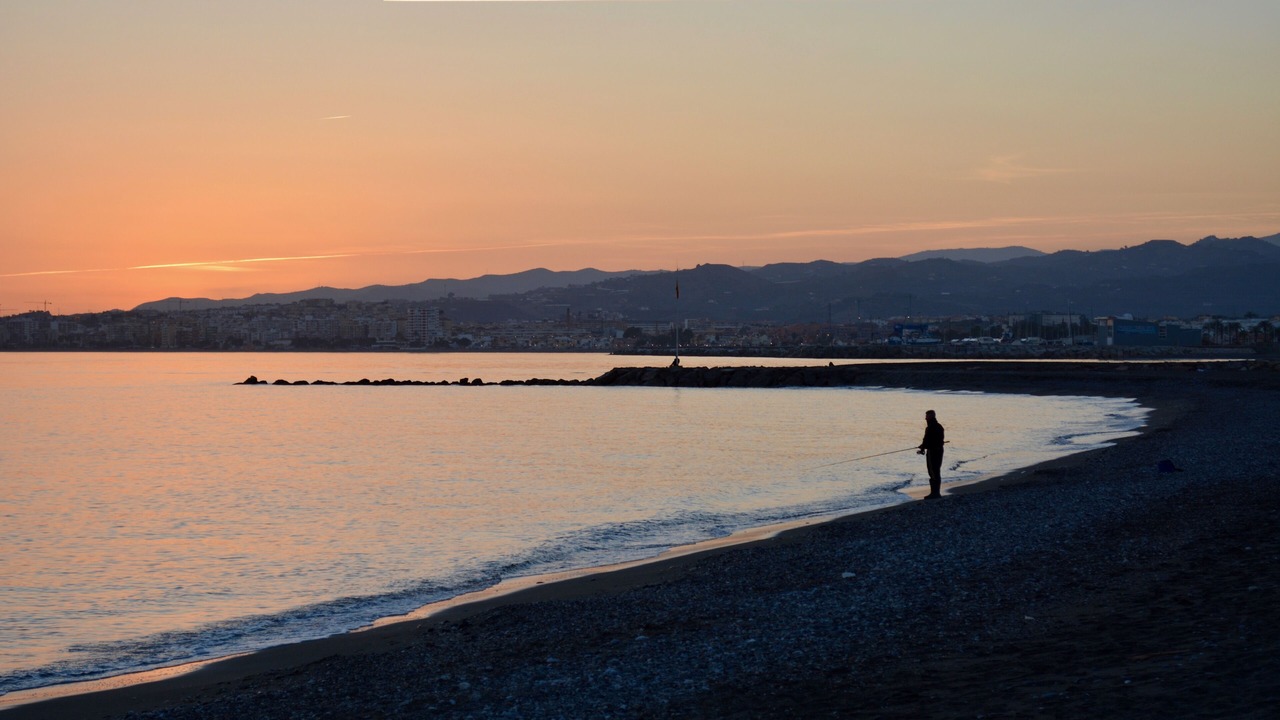 Photo of Others in Algarrobo
