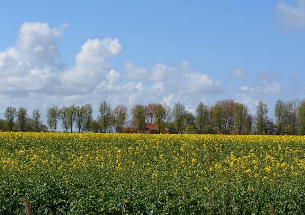Photo of Others in Freepsum