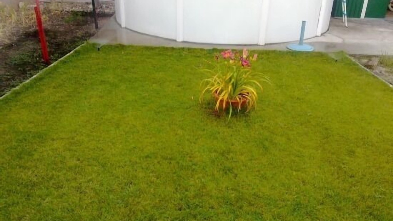 Photo of Outdoor in Cuellar
