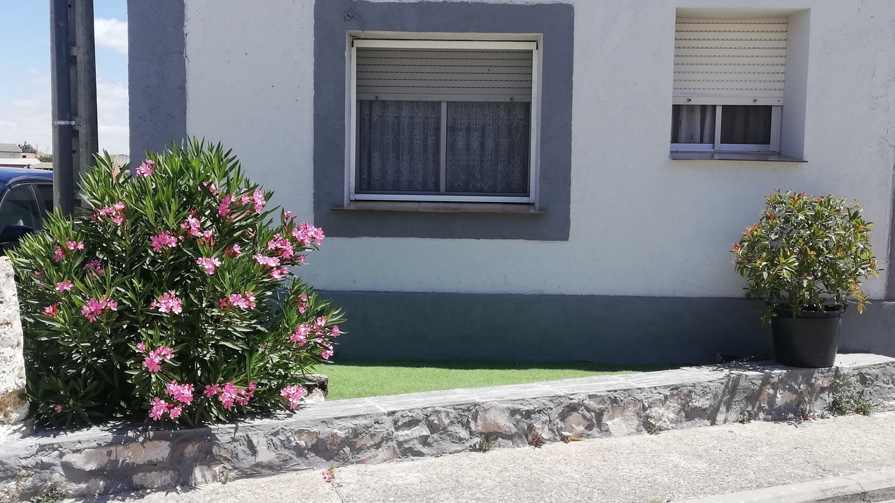 Photo of Outdoor in Cuellar