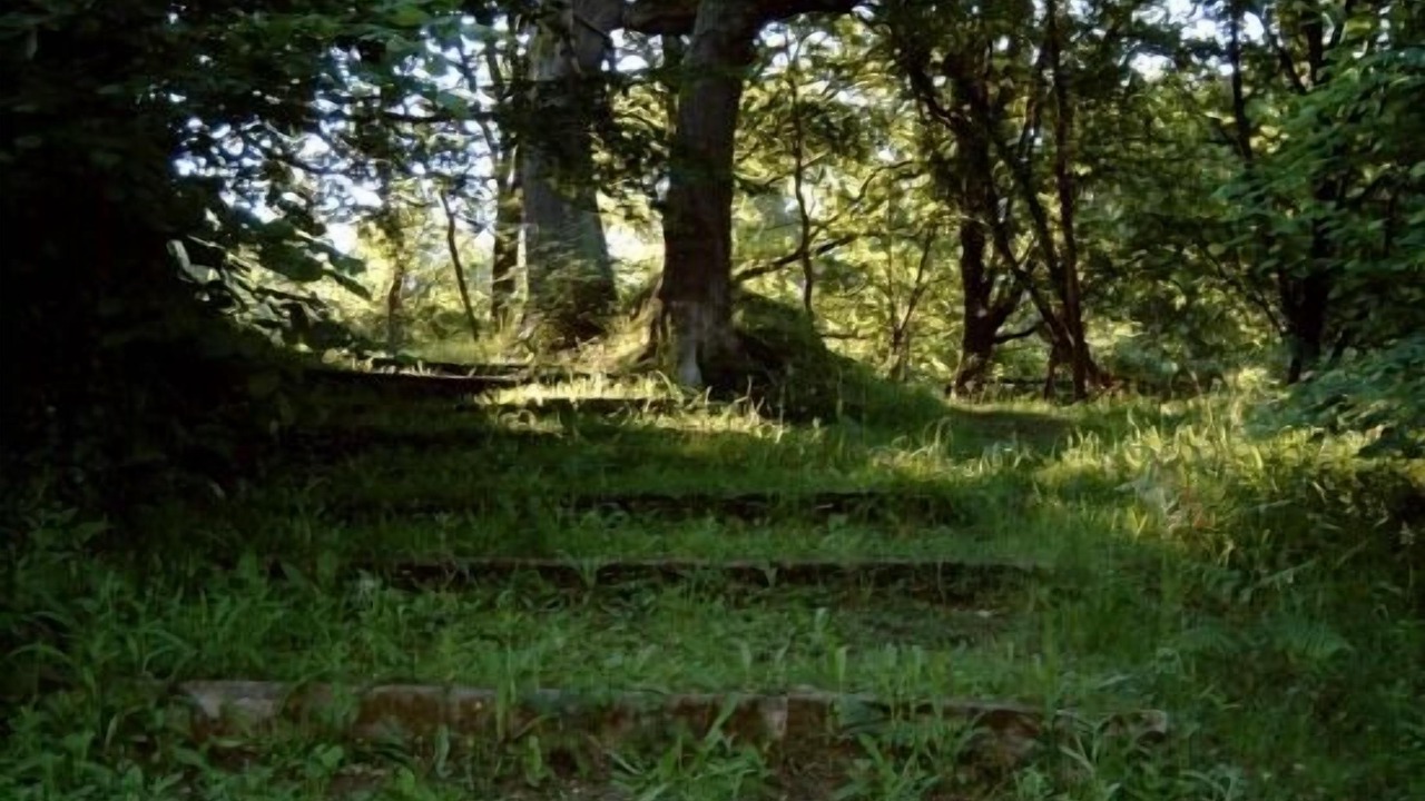 Photo of Outdoor in Barcena de Cicero