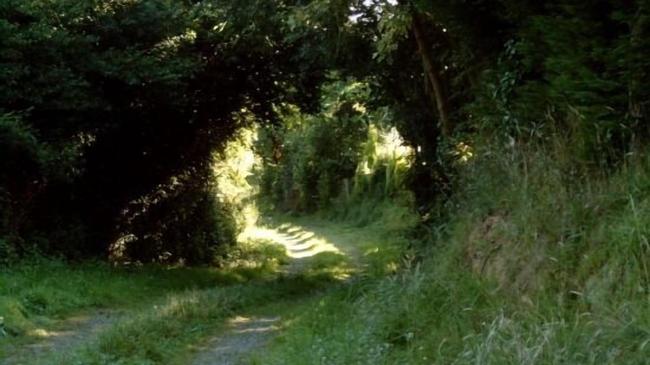 Photo of Outdoor in Barcena de Cicero