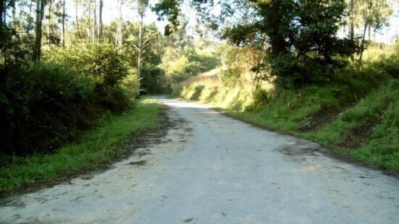 Photo of Outdoor in Barcena de Cicero