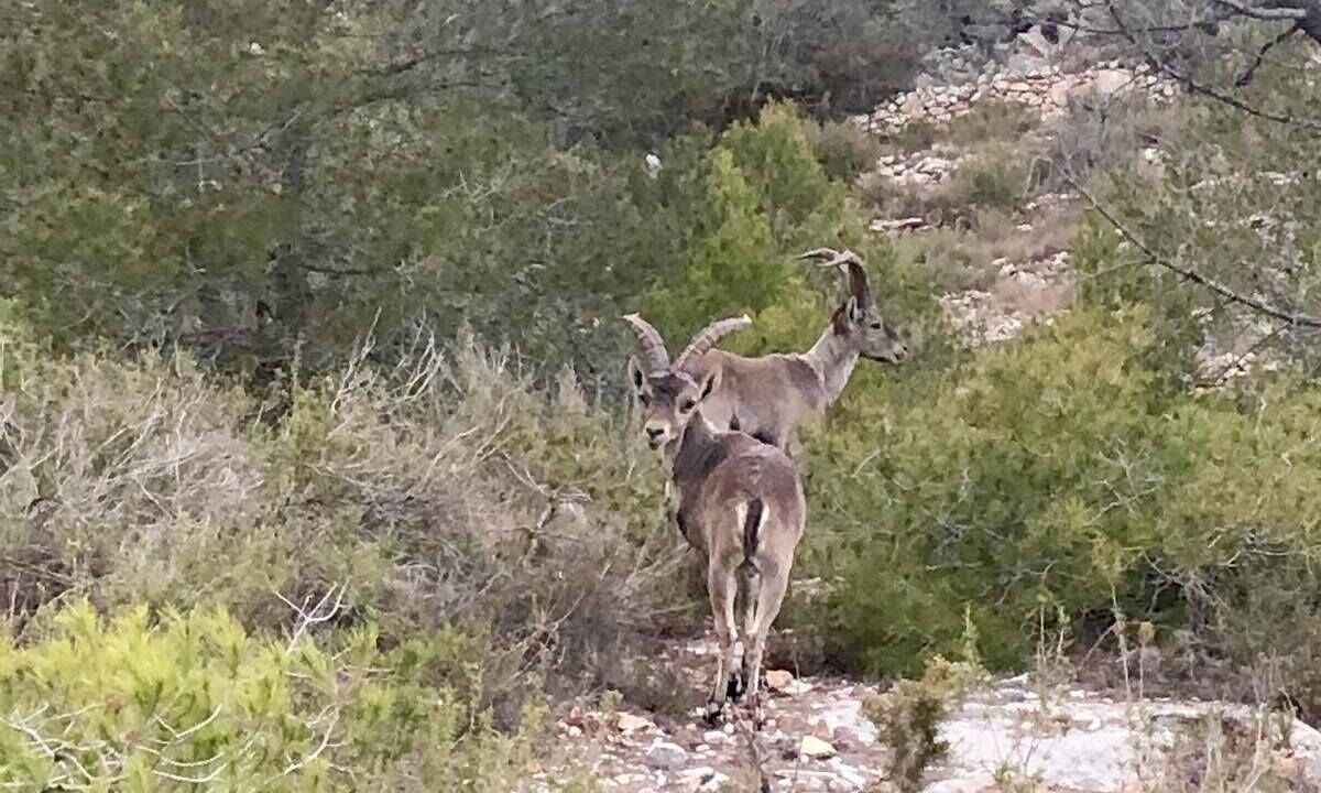 Photo of Outdoor in Enguera