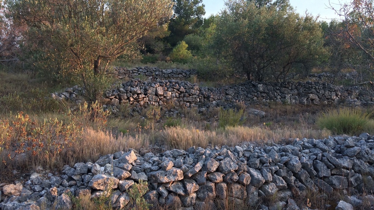 Photo of Outdoor in Enguera