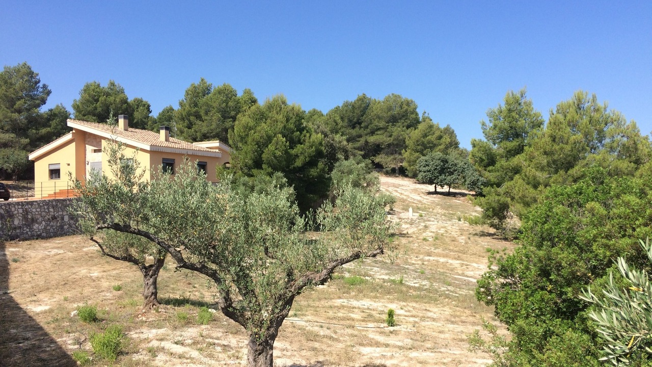 Photo of Outdoor in Enguera