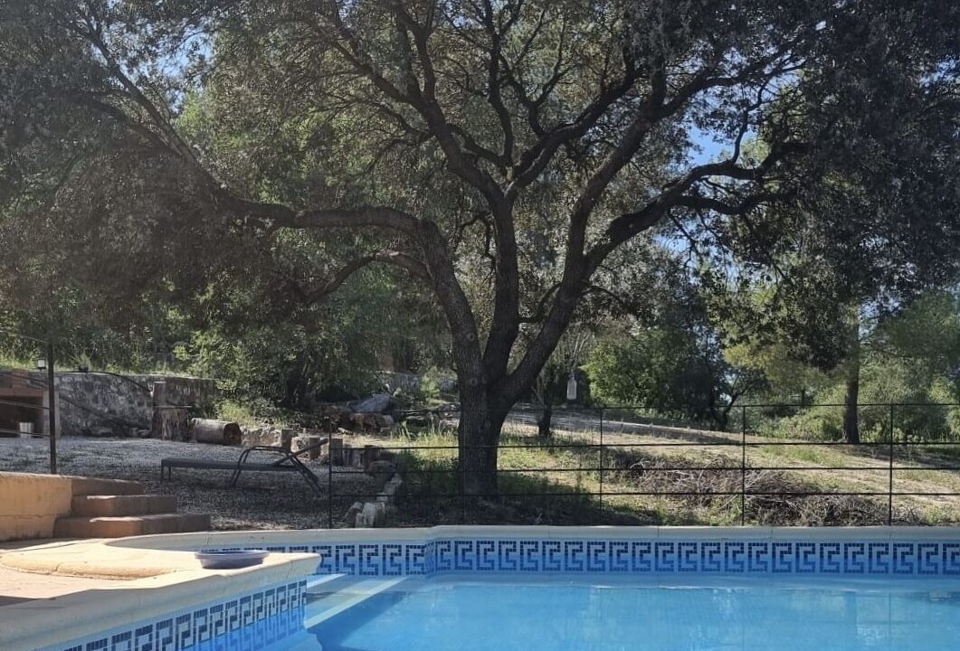 Photo of Outdoor in Enguera