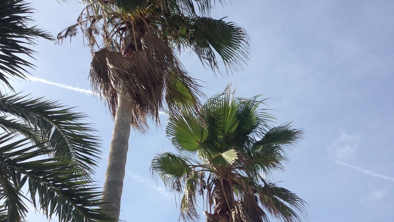 Photo of Outdoor in Montuiri