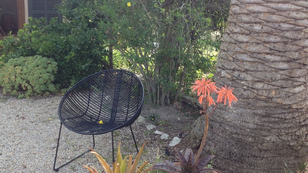 Photo of Patio Balcony in Montuiri