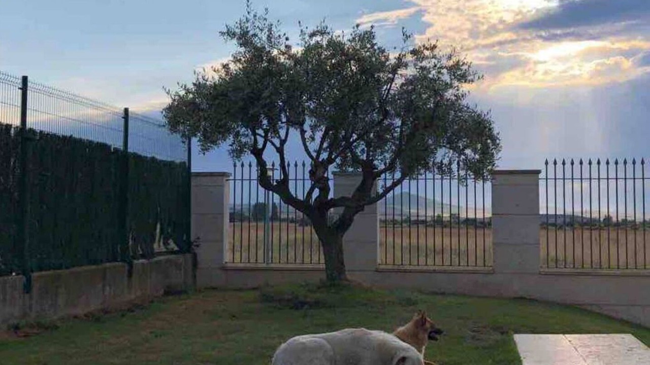 Photo of Outdoor in Santo Domingo de la Calzada