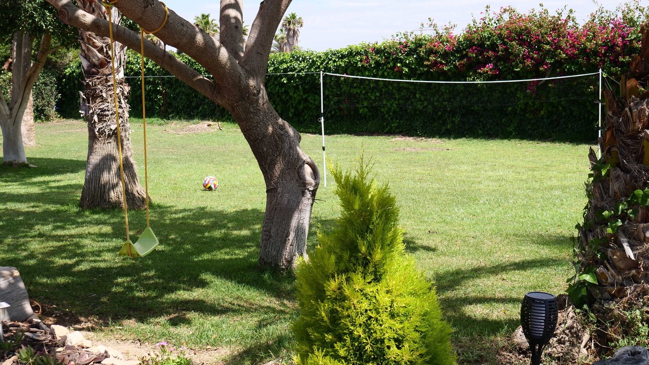 Photo of Outdoor in Elche