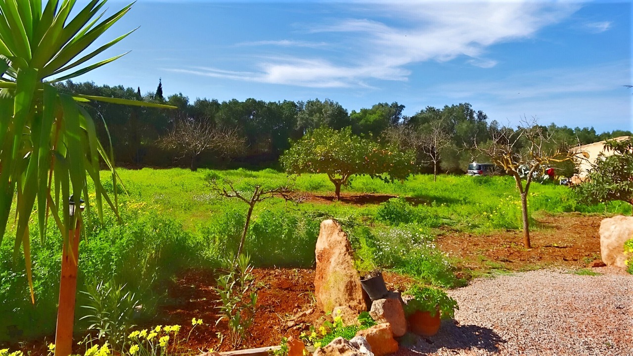 Photo of Outdoor in Son Antem