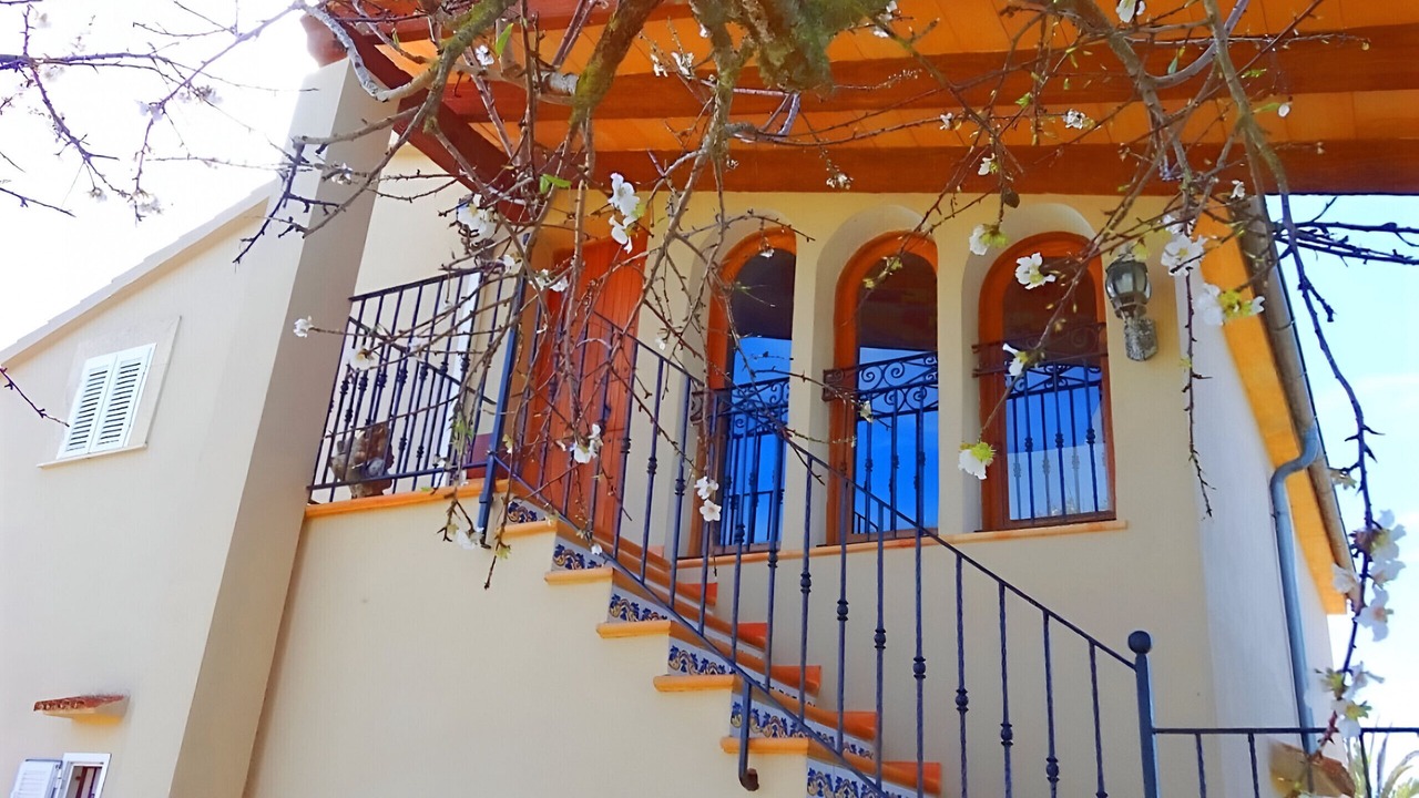 Photo of Outdoor in Son Antem