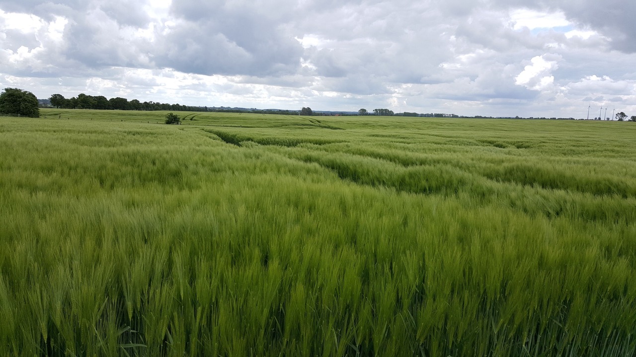 Photo of Others in Schoenbeck