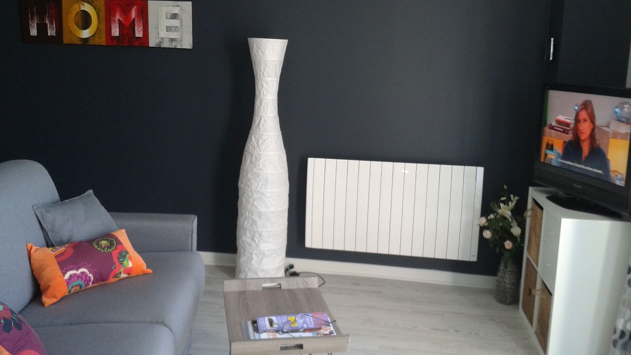 Photo of Livingroom in Aix-les-Bains City Center