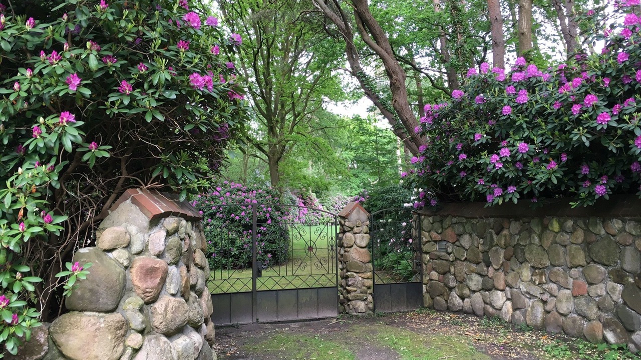 Photo of Outdoor in Wiefelstede