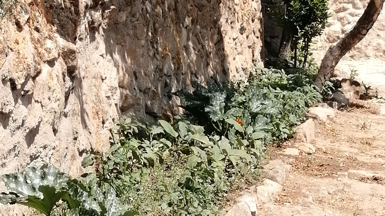 Photo of Outdoor in Mesegar de Corneja