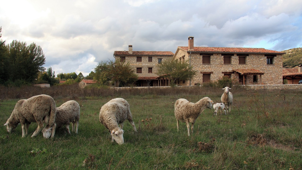 Photo of Outdoor in Beteta