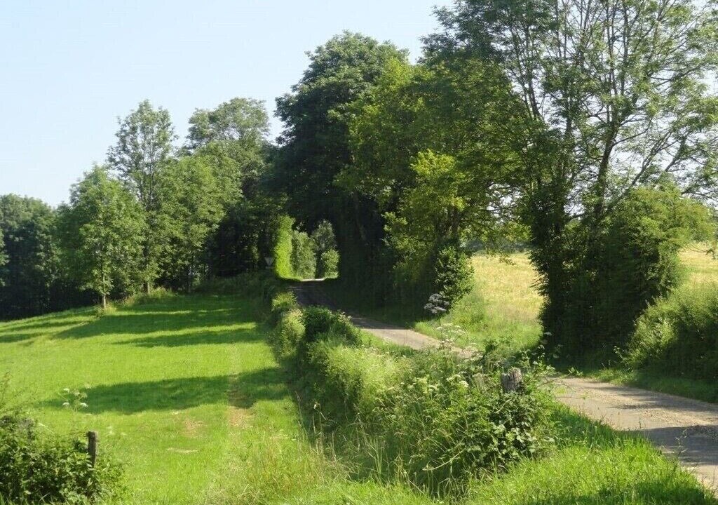Photo of Others in Cernon