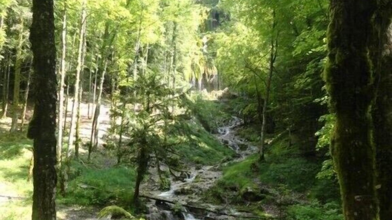 Photo of Outdoor in Cernon