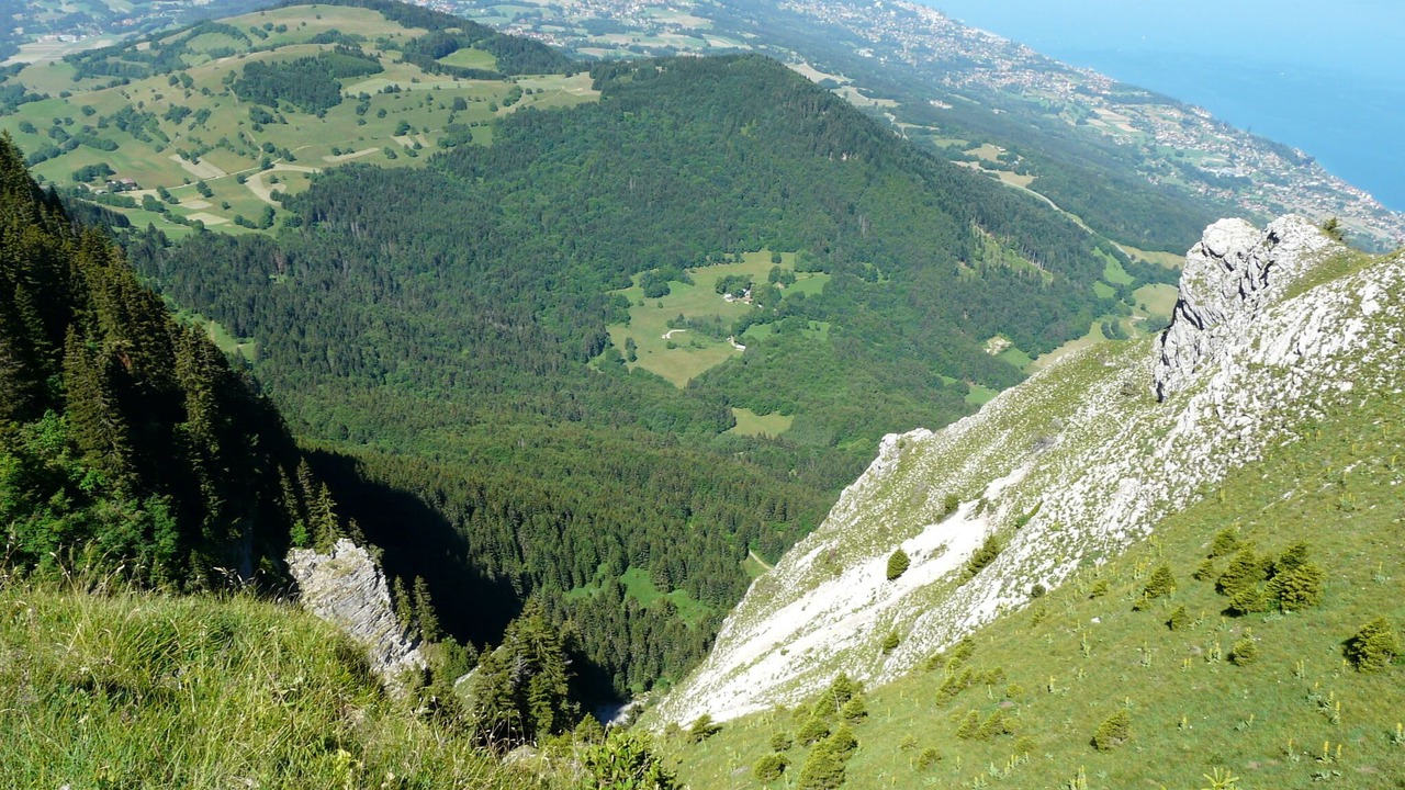 Photo of Others in Thollon-les-Memises