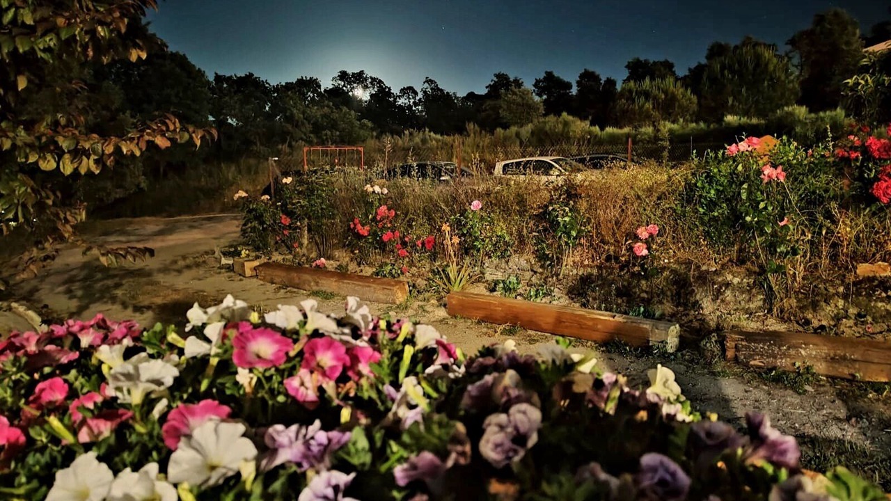 Photo of Outdoor in Las Huertas de Cansa