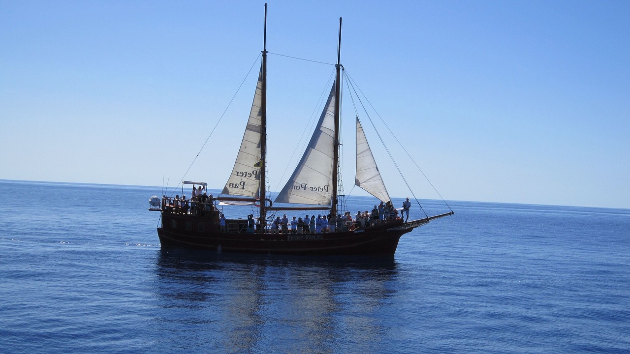 Photo of Others in Los Cristianos