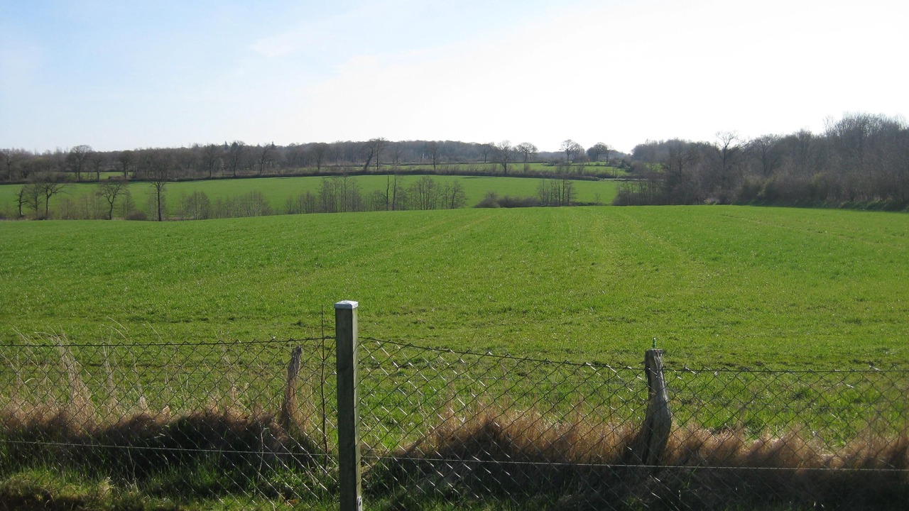 Photo of Outdoor in Schwabstedt