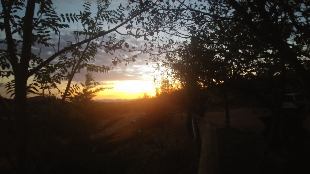 Photo of Others in Alcaraz