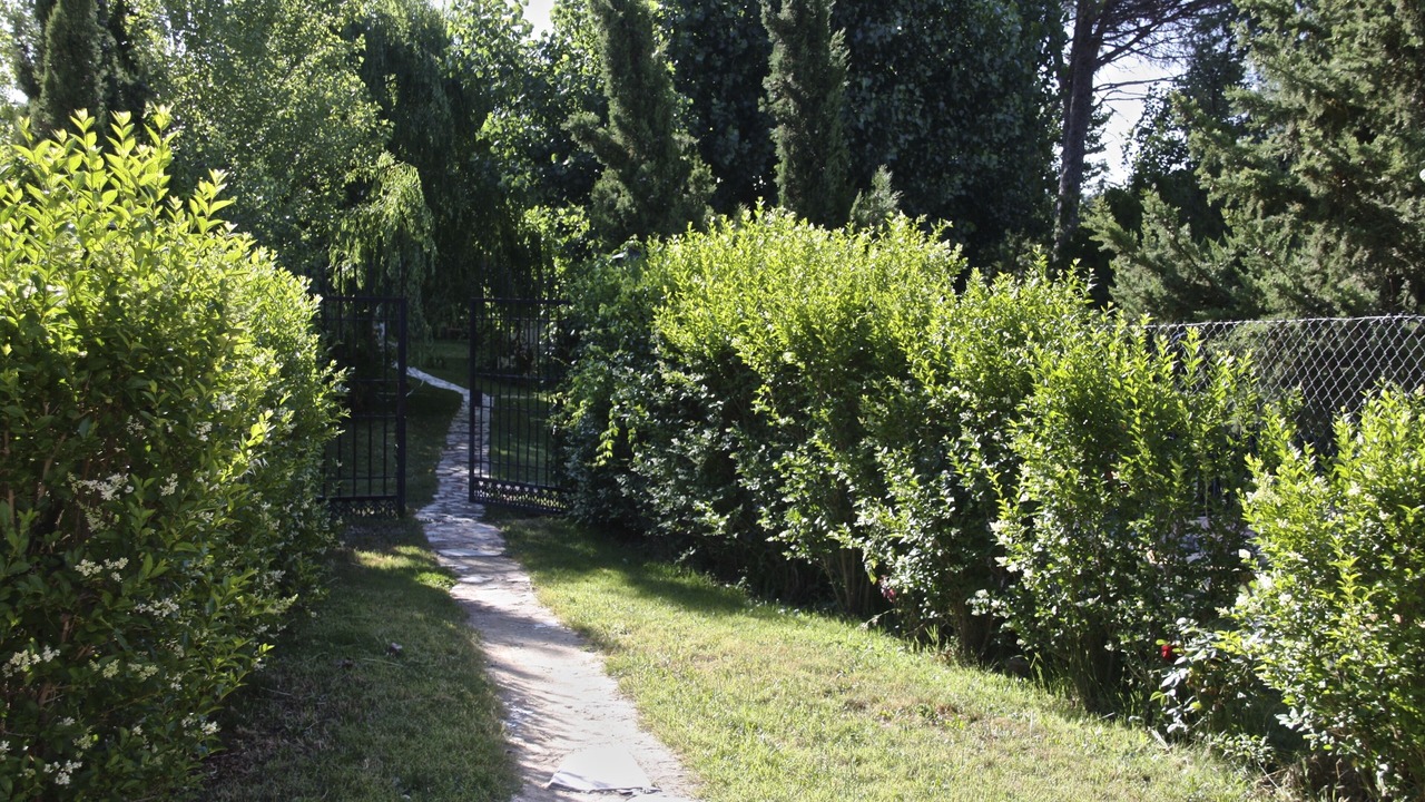 Photo of Outdoor in Alcaraz
