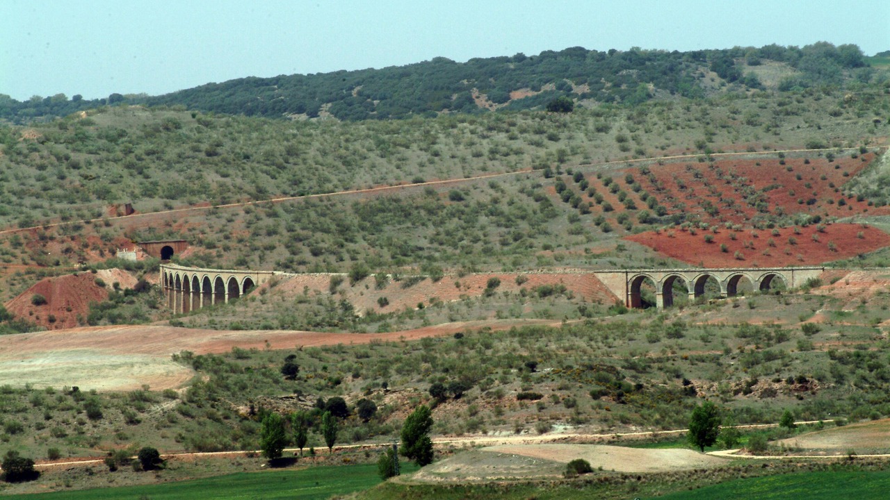 Photo of Others in Alcaraz
