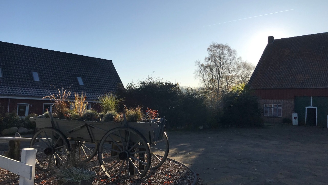 Photo of Outdoor in Heide