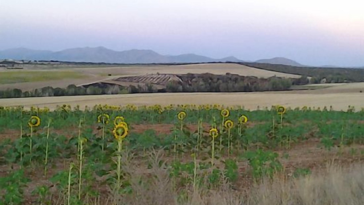 Photo of Others in Maello