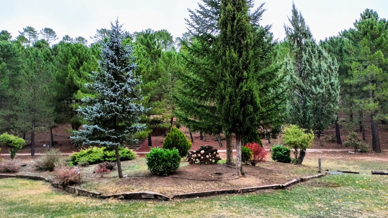 Photo of Outdoor in Riopar